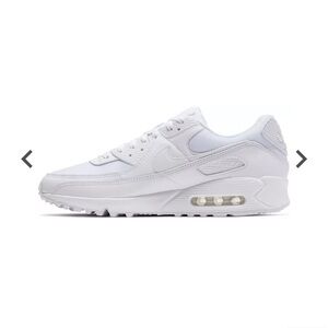 Nike Men's Air Max 90 shoes